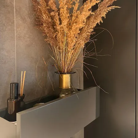 Ski-in Ski-out In Nyaraló Trysil