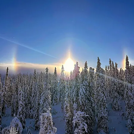 Ski-in Ski-out In Trysil