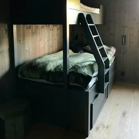 Ski-in Ski-out In * טריסיל